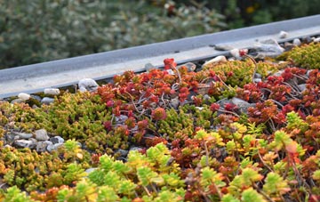 the cost of Nettlestead Green green roof installation