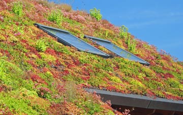 Nettlestead Green living roof systems